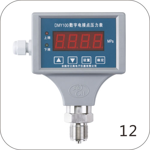 DMY100數(shù)字電接點壓力表